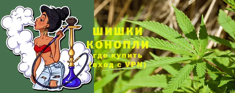 мориарти как зайти  Верещагино  Бошки марихуана LSD WEED  купить закладку  MEGA как зайти 